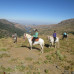 Photo of Spain Study Abroad Reflections: Comprehensive Reviews of Past Programs
