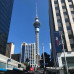 Photo of API (Academic Programs International): Auckland - AUT University