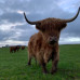 Photo of University of Aberdeen: Aberdeen - Direct Enrollment & Exchange