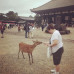 Photo of CISabroad (Center for International Studies): Summer TEFL in Tokyo