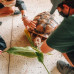 Photo of Pacific Discovery: Hawaii Semester Program