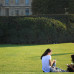 Photo of CEA CAPA Education Abroad: Intern in Paris