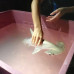 Photo of GVI: Curieuse - Seychelles Environmental Conservation Short Term Internship