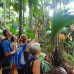 Photo of GVI: Curieuse - Seychelles Environmental Conservation Short Term Internship
