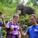 Photo of GVI: Chiang Mai - Volunteer with Elephants in Thailand