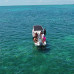 Photo of GVI: Ambergris Caye - Belize Marine Conservation Expedition