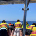 Photo of GVI: Tenerife - Short - Term Marine Biology Internship in the Canary Islands