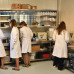 Photo of Cerca Abroad: Greece - Marine Conservation Internships in Greece