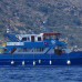 Photo of Cerca Abroad: Greece - Marine Conservation Internships in Greece