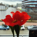 Photo of Vrije Universiteit Amsterdam: Amsterdam - Direct Enrollment & Exchange