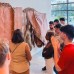 Photo of CYA (College Year in Athens) - Semester/Academic Year Program