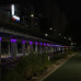 Photo of Seoul National University: Seoul - Direct Enrollment & Exchange