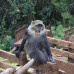 Photo of SIT Study Abroad: Tanzania - Zanzibar Coastal Ecology and Natural Resource Management