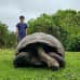 Photo of The Experiment: Ecuador: The Galápagos Islands & The Cloud Forest