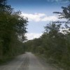 A student studying abroad with Study Abroad Programs in Belize