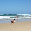 A student studying abroad with Bond University: Gold Coast - Direct Enrollment & Exchange