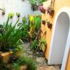 A student studying abroad with IFSA-Butler: Merida - Universidad Autonoma de Yucatan