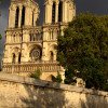 A student studying abroad with Sciences Po: Paris - Direct Enrollment & Exchange