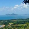 A student studying abroad with SIT Australia: Rainforest, Reef, & Cultural Ecology