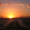 A student studying abroad with The Education Abroad Network (TEAN): Auckland - University of Auckland