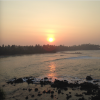 A student studying abroad with Bowdoin College: - Intercollegiate Sri Lanka Education Program / ISLE
