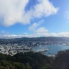 A student studying abroad with The Education Abroad Network (TEAN): Wellington - Victoria University of Wellington