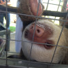 A student studying abroad with Sol Education Abroad: Heredia - Universidad Latina de Costa Rica