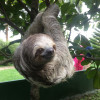 A student studying abroad with Sol Education Abroad: Heredia - Universidad Latina de Costa Rica