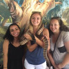 A student studying abroad with CAPA The Global Education Network: Sydney Study or Intern Abroad