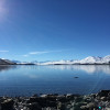 A student studying abroad with IES Abroad: Auckland Direct Enrollment - University Of Auckland