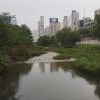 A student studying abroad with Korea University: Seoul - International Summer Campus