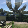 A student studying abroad with CEA: Buenos Aires, Argentina
