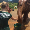 A student studying abroad with The Education Abroad Network (TEAN): Thailand - Summer in Chiang Mai