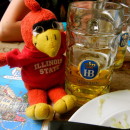 Study Abroad Programs in Germany Photo