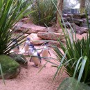 The Education Abroad Network: Gold Coast - Griffith University Photo