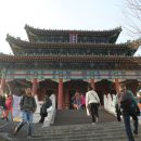 Alliance for Global Education: Shanghai - International Business in China Photo