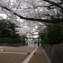 IES Abroad: Nagoya - Nanzan University Photo