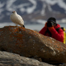 Study Abroad Reviews for GEO: Svalbard - Study Abroad Programs in Svalbard