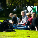 Study Abroad Reviews for Technical University of Denmark / DTU: Kongens Lyngby - Summer University Programme