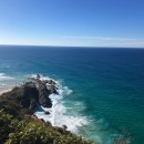 The Education Abroad Network (TEAN): Traveling - Australian Environment, Wildlife and Conservation Photo