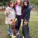 SIT Study Abroad: Chile - Cultural Identity, Social Justice, and Community Development Photo