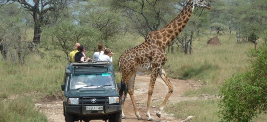 Study Abroad in Tanzania