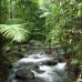 Photo of The School for Field Studies / SFS: Australia & New Zealand - Rainforest Studies