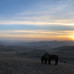 Photo of SIT Study Abroad Mongolia and Siberia: Nomadism, Geopolitics, and the Environment