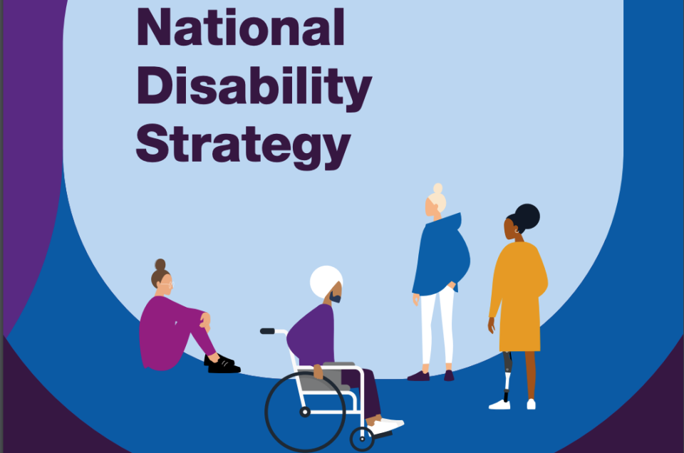 Opinion on the Government National Disability Strategy