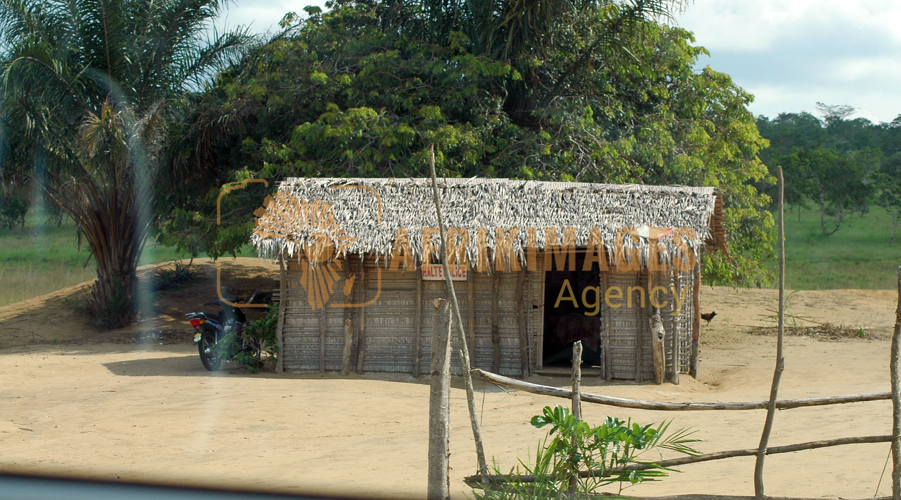 Afrikimages république congo / nature
