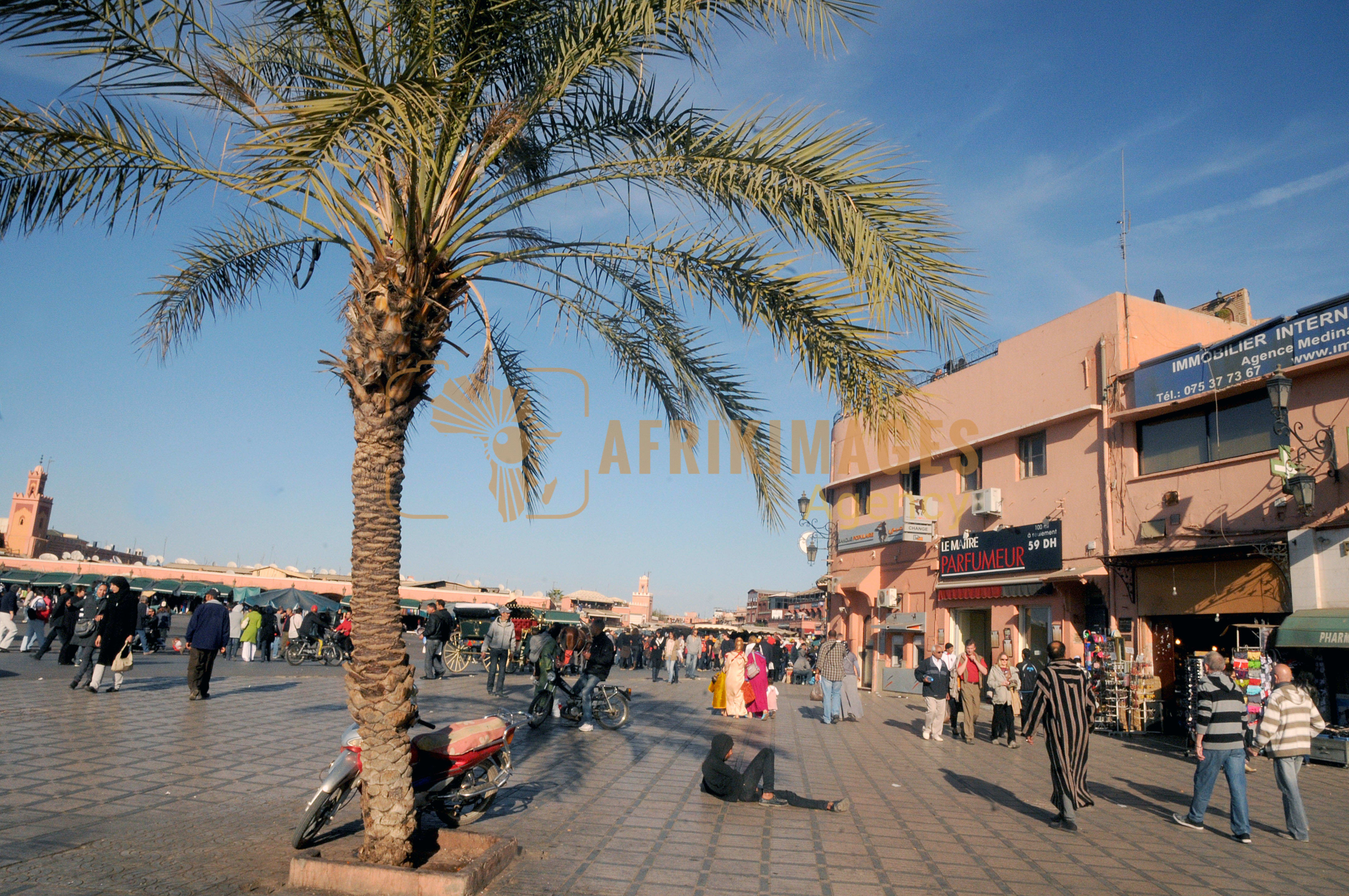 maroc / marrakech