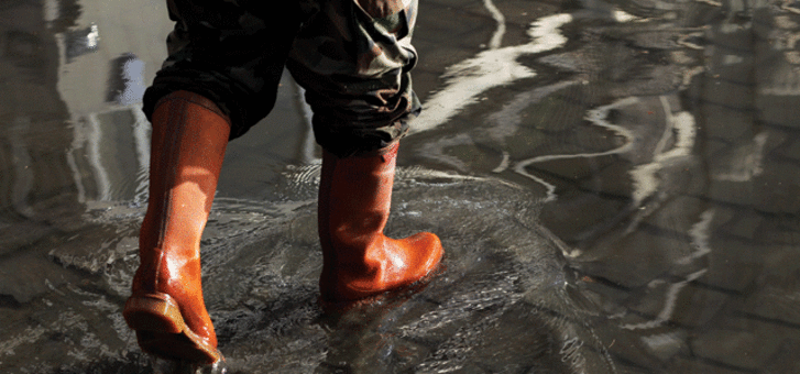 Courage in the Deluge