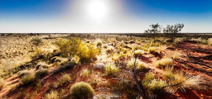  John Williamson: Fair-Dinkum Aussie