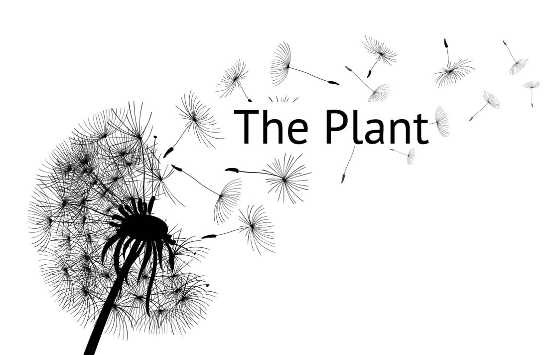 Starting A Ministry For Beginners